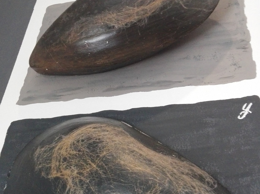 B&B Antichi Colori主图