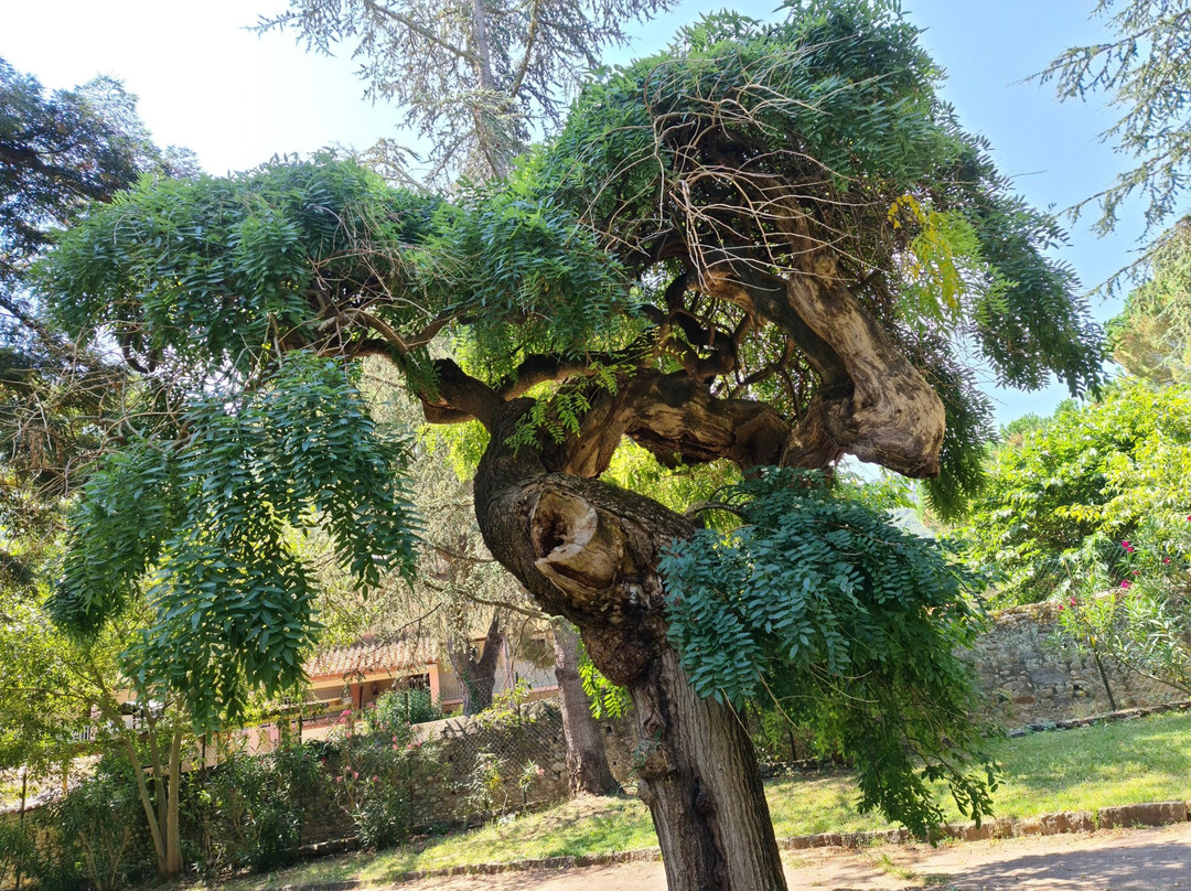 Parc de la Mairie景点图片
