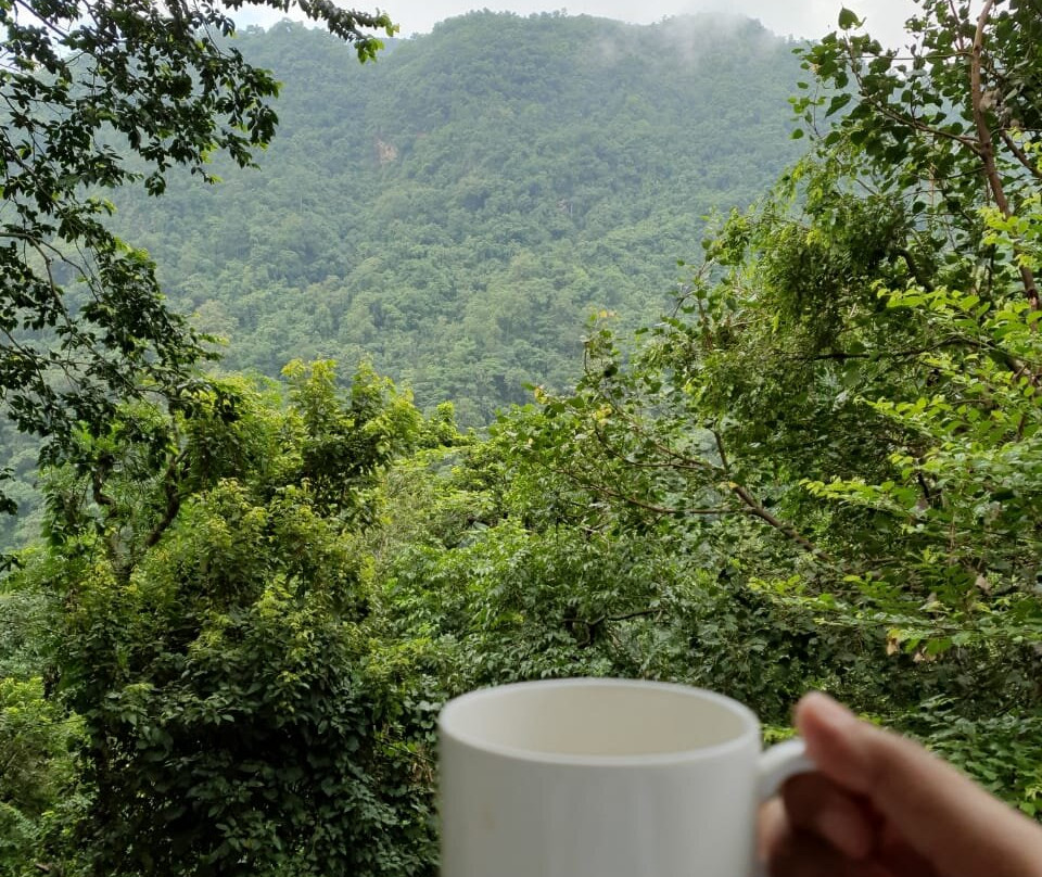 The Roseate Ganges Rishikesh主图