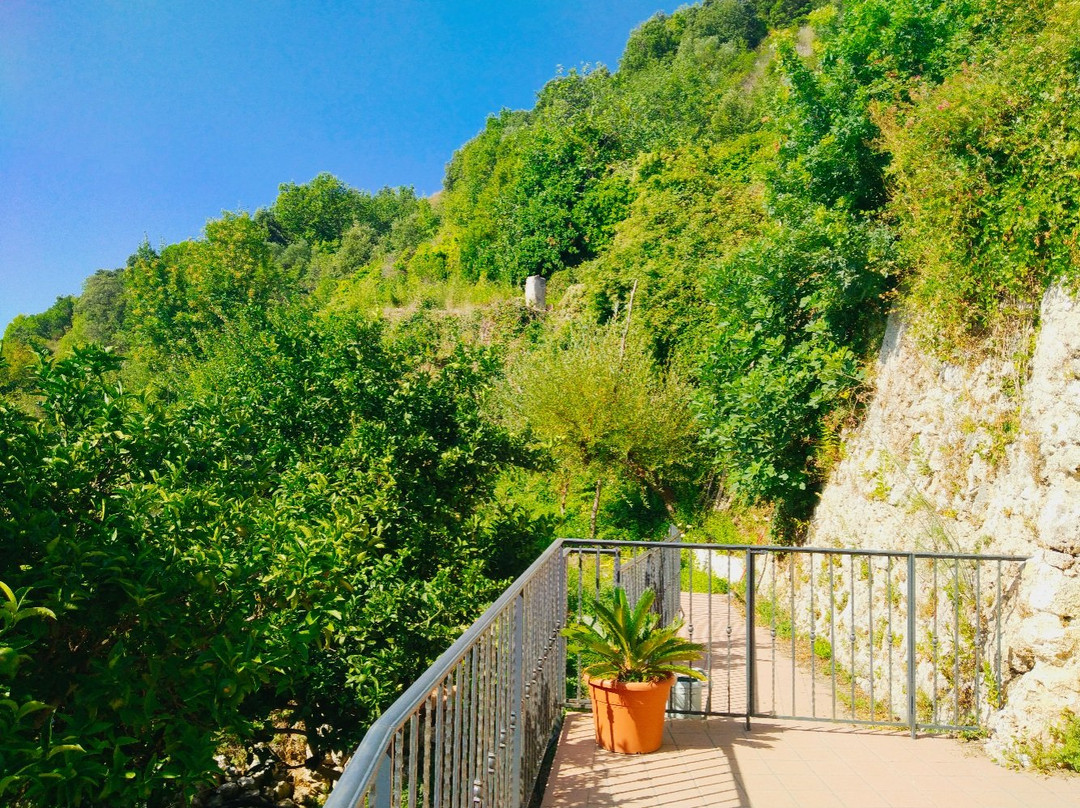 Tenuta Fuenti B&b主图