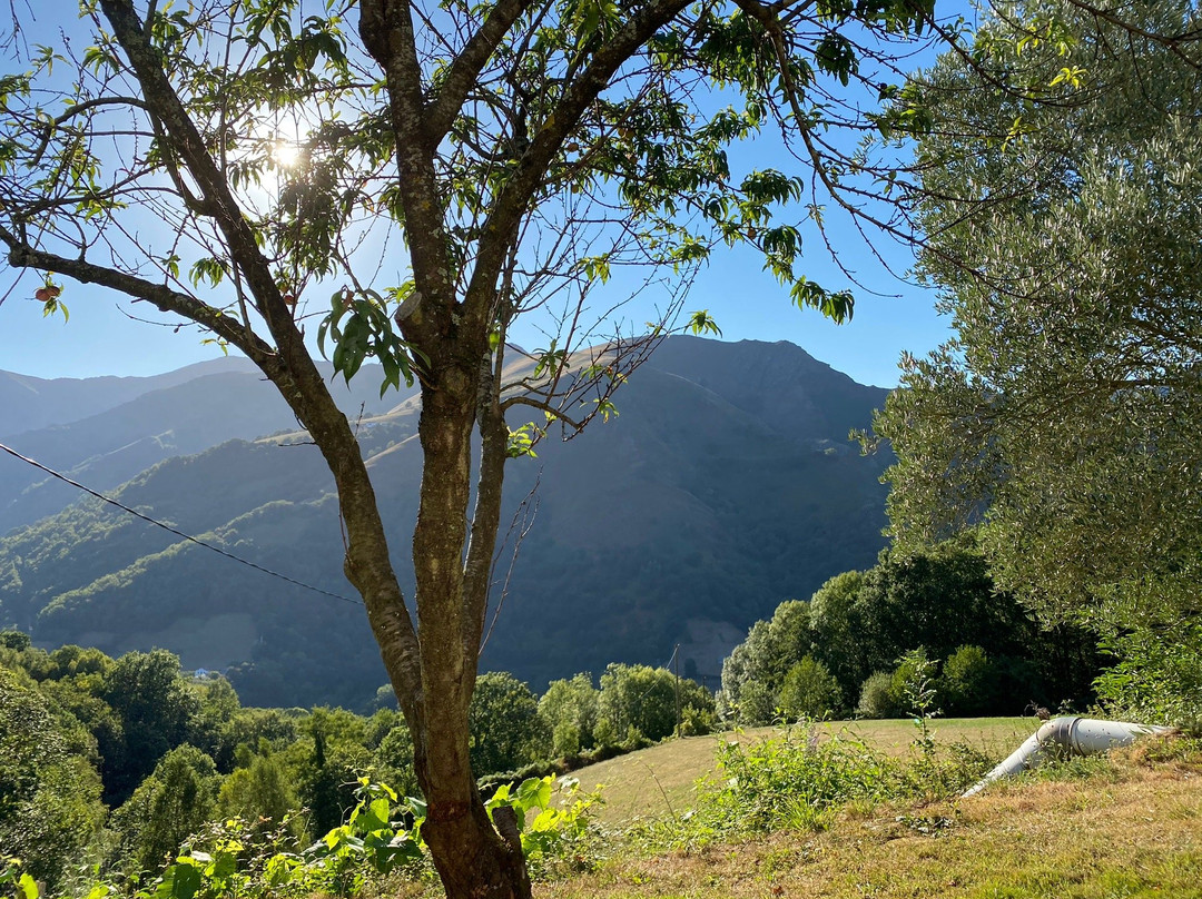 Chambres D'hotes Idiartekoborda主图