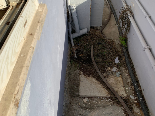 Conchiglia Azzurra Hotel主图