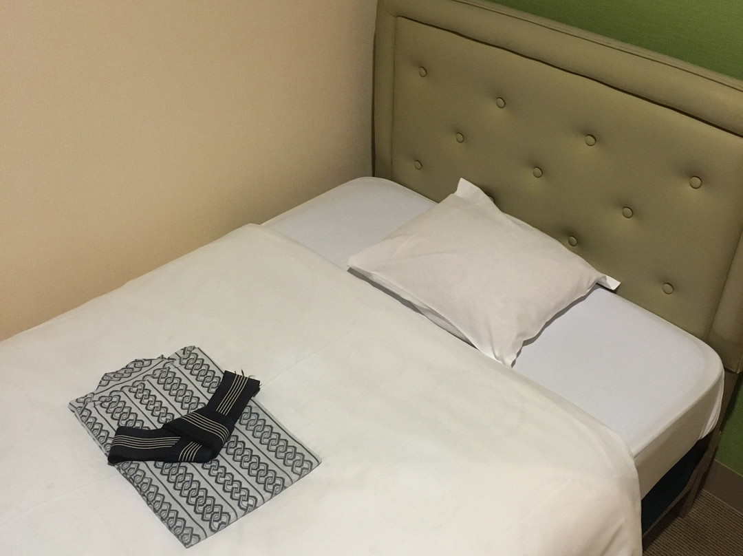 Business Hotel Shirakaba主图