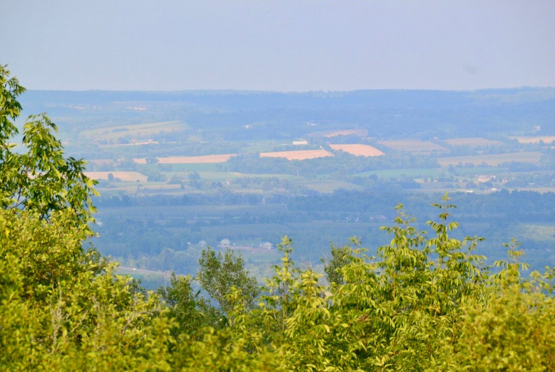 Epping-John Muir Lookout Conservation Area景点图片