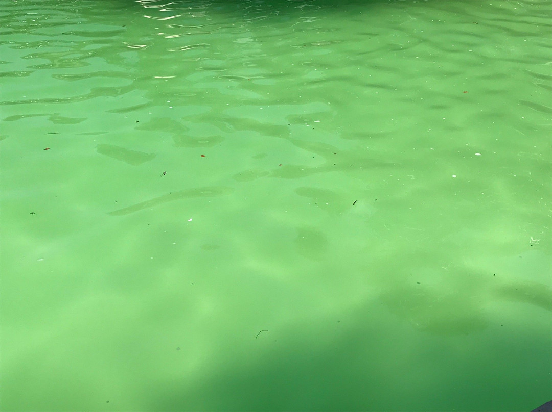 Holiday Inn Express & Suites Fredericksburg By IHG主图