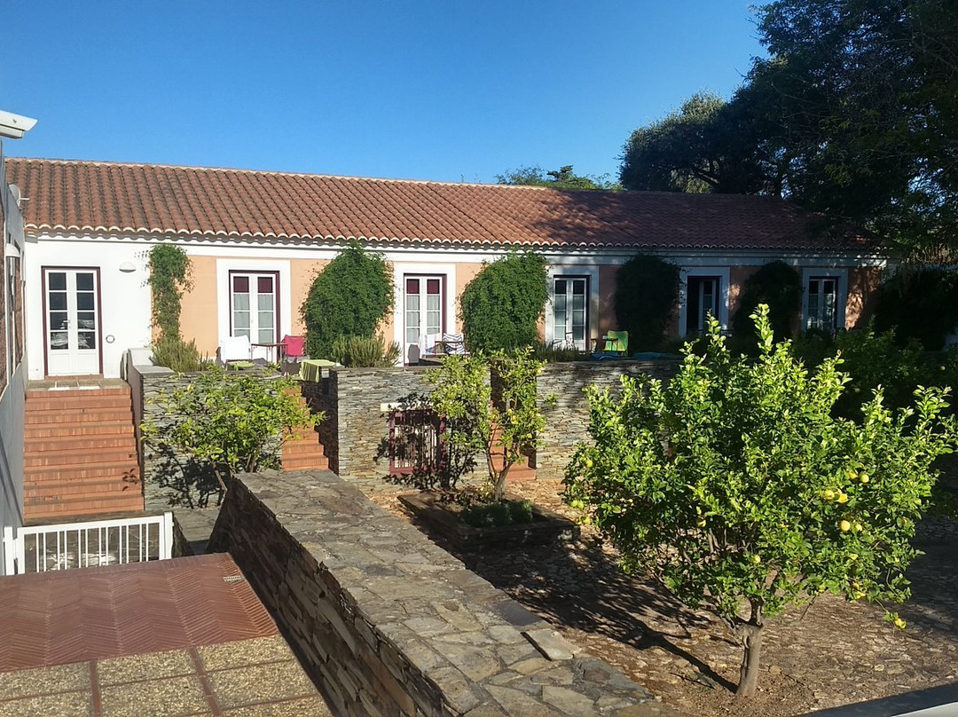 Naturarte Campo主图