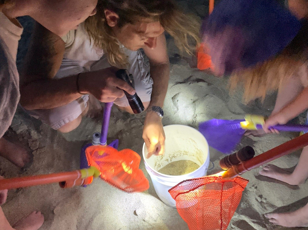 Ghost Crab Quest景点图片
