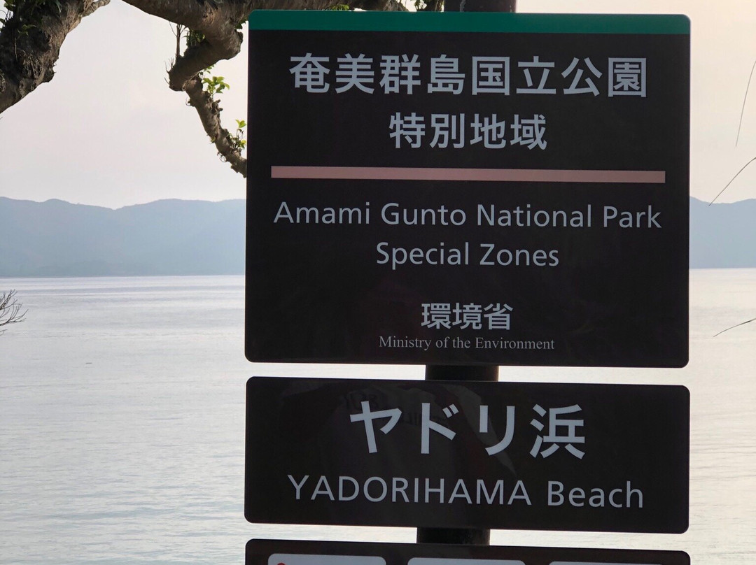 Yadoribama Beach景点图片