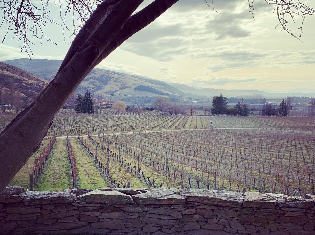 Felton Road Wines-克伦威尔镇必去景点