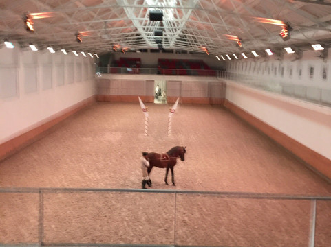 A Escola Portuguesa de Arte Equestre-里斯本必去景点