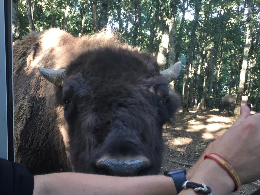Museo de la Fauna Salvaje-Bonar必去景点
