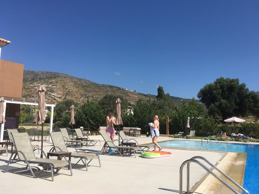 Aligis Studios主图