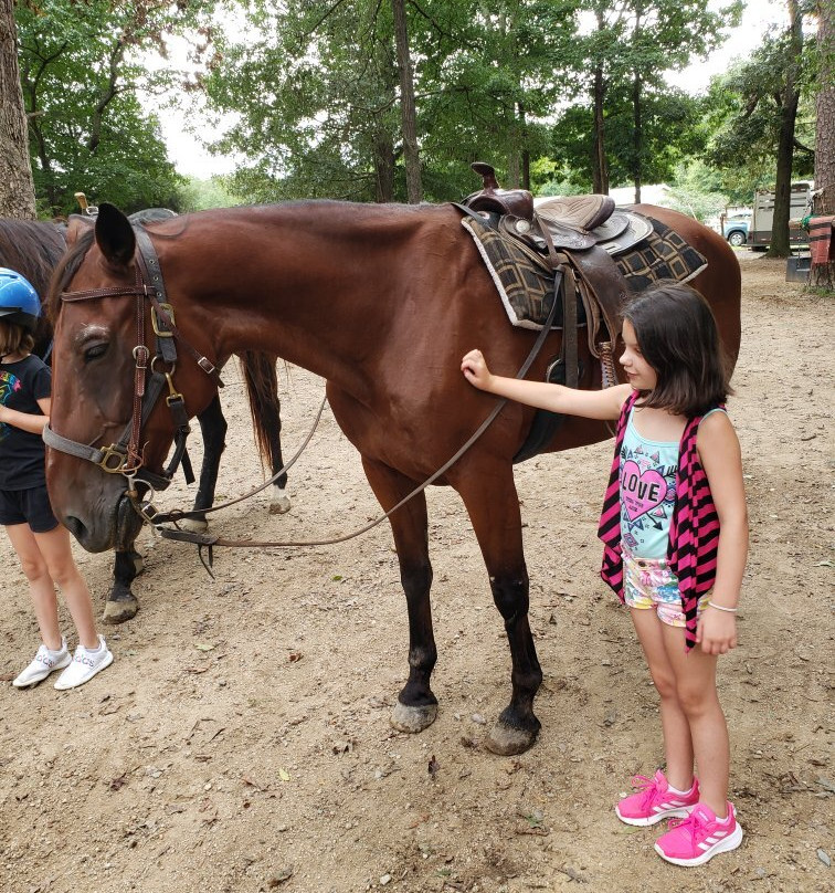 Country Time Equestrian Events-Indian Trail必去景点