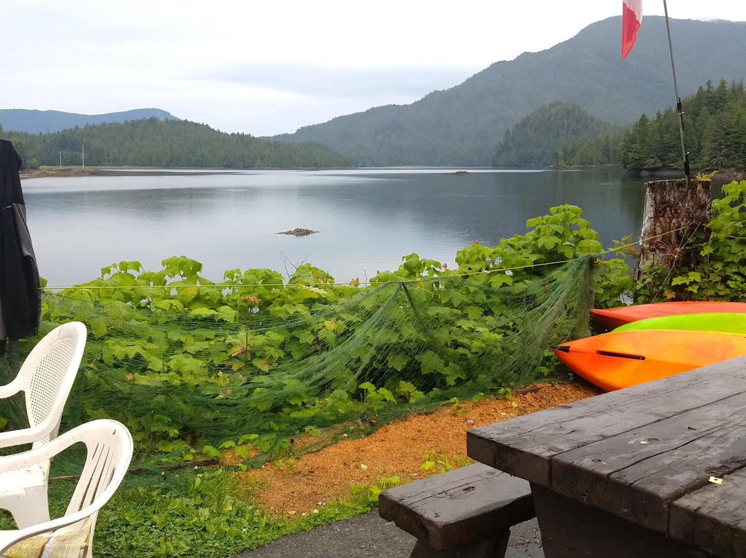 Skeena Kayaking景点图片