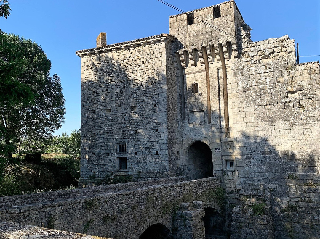 Château de Cherveux景点图片