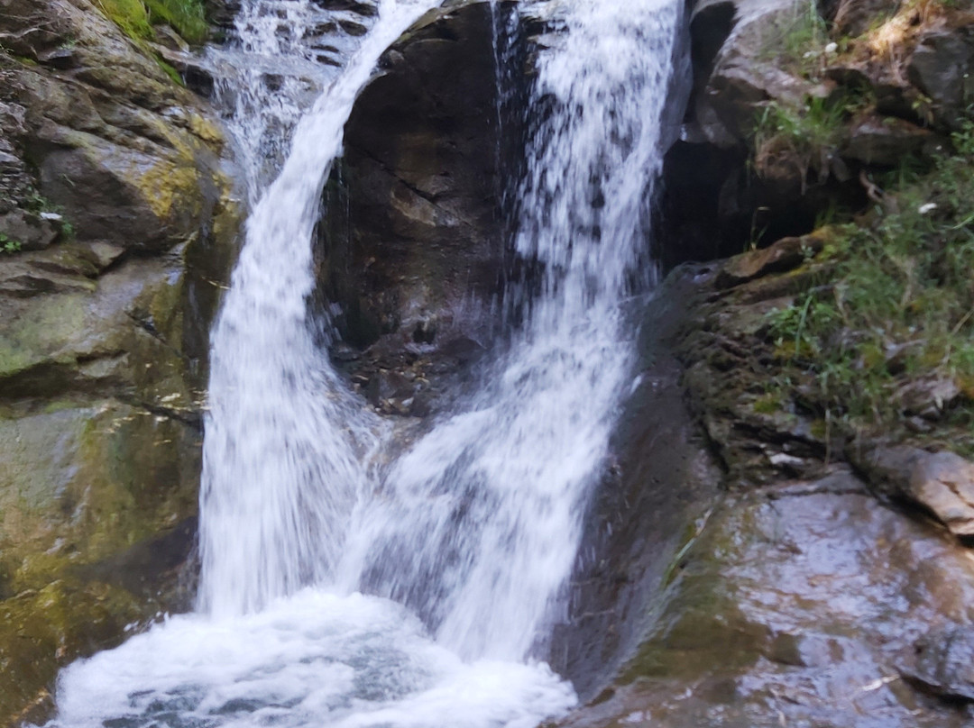 Evelyn Falls Trail-Anglemont必去景点