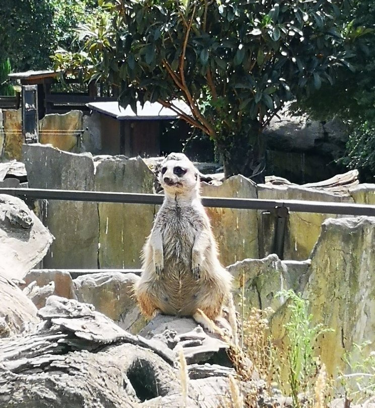 Marcelle Natureza-Outeiro de Rei必去景点