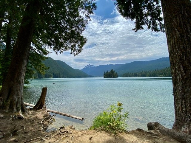 Packwood Lake Trail景点图片