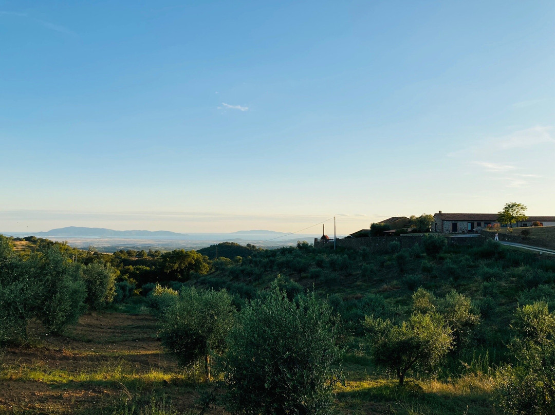 Agriturismo La Poderina E Gli Olmi主图