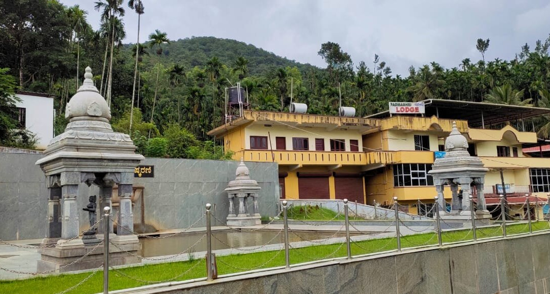 Padmashree Lodge主图