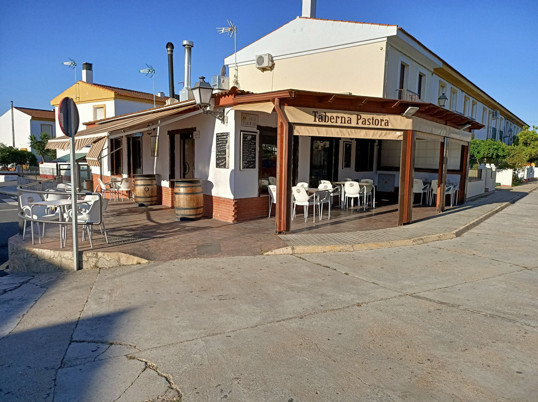 Alosno餐馆和美食-Taberna, El Puchero de Pastora