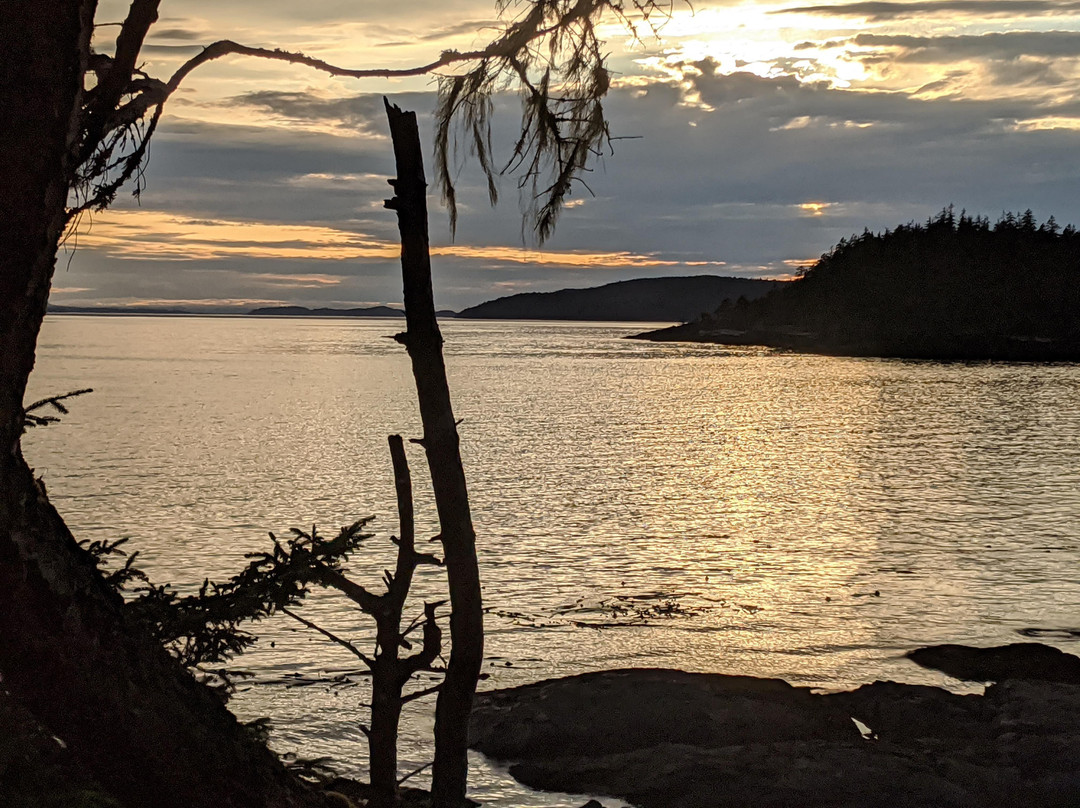 Discovery Expeditions-Telegraph Cove必去景点