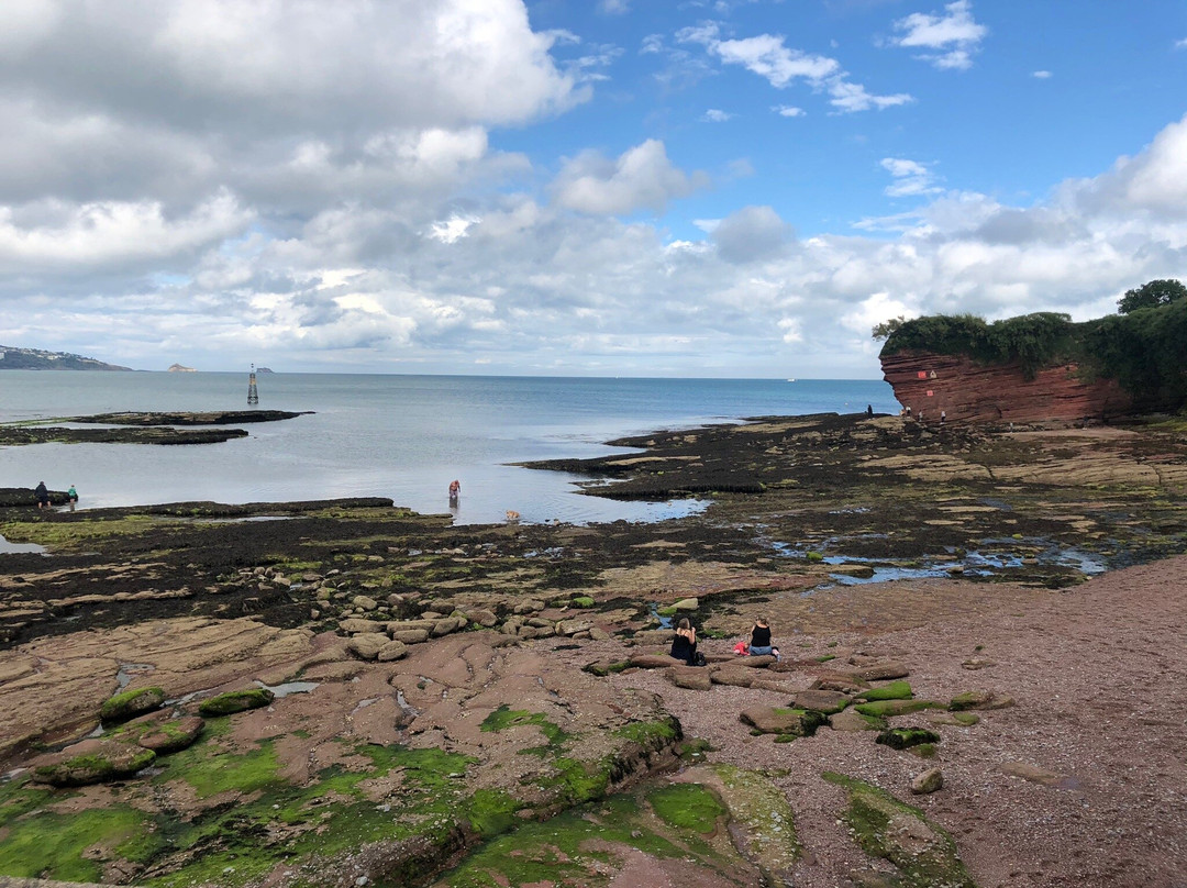 Paignton Harbour景点图片