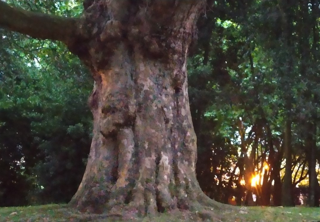 Parque de Ferrera-阿维莱斯必去景点