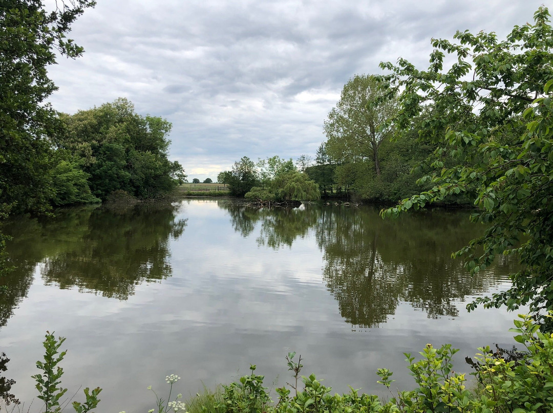 Herrenhaus Borghorst主图