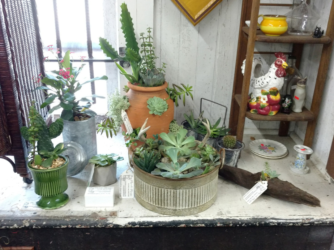 Suwannee Hardware & Feed