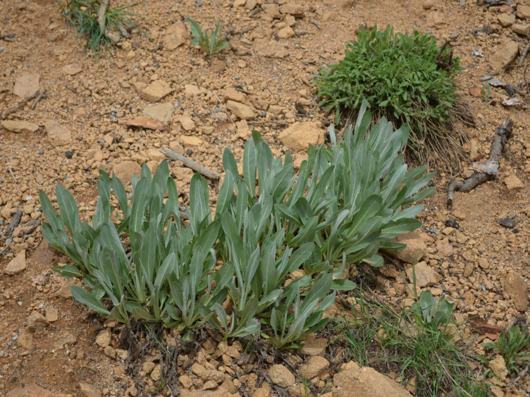 Monarch Pass-Monarch必去景点