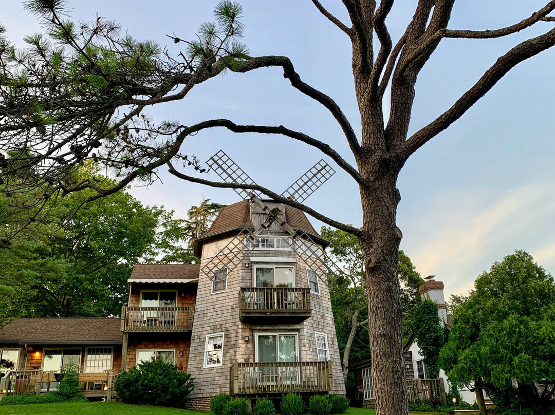 The Hampton Maid主图