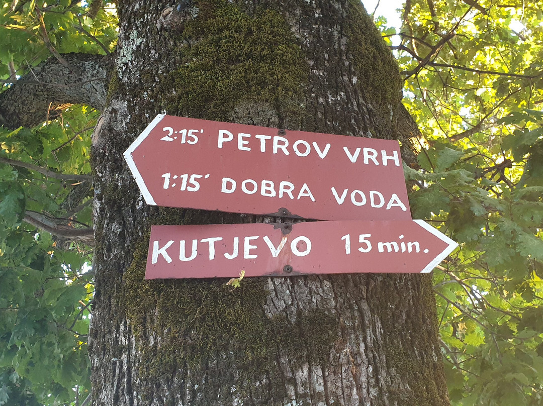 Vidikovac Vila Vinkomir景点图片