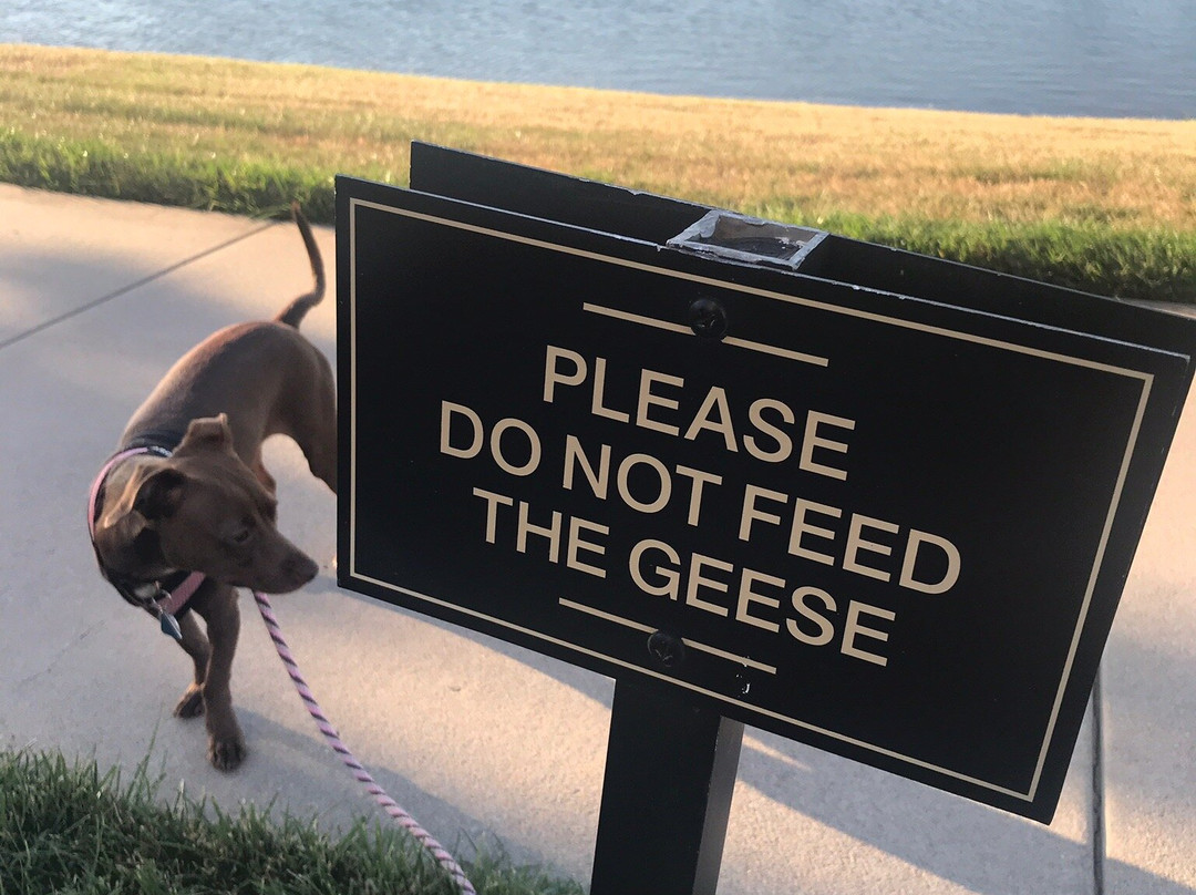 海滨希尔顿惠庭套房酒店主图