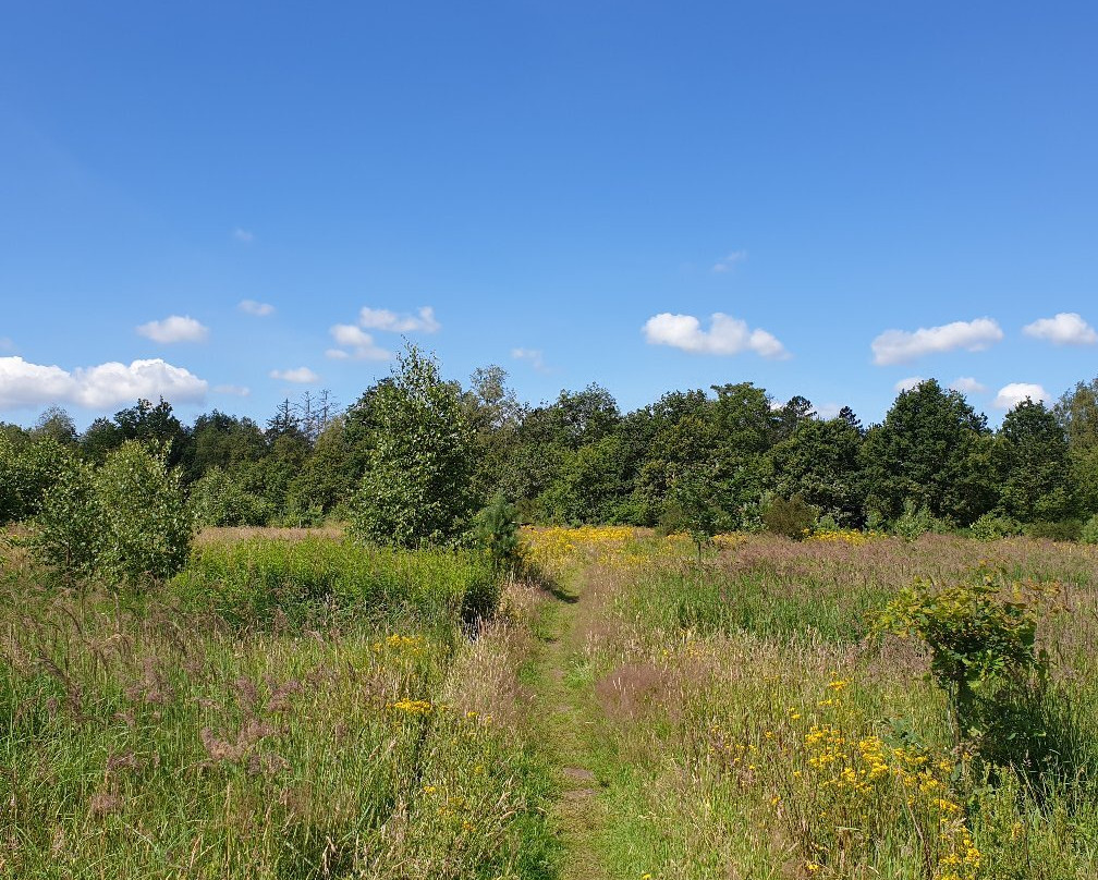 Nationaal Park Drents-Friese Wold-Appelscha必去景点