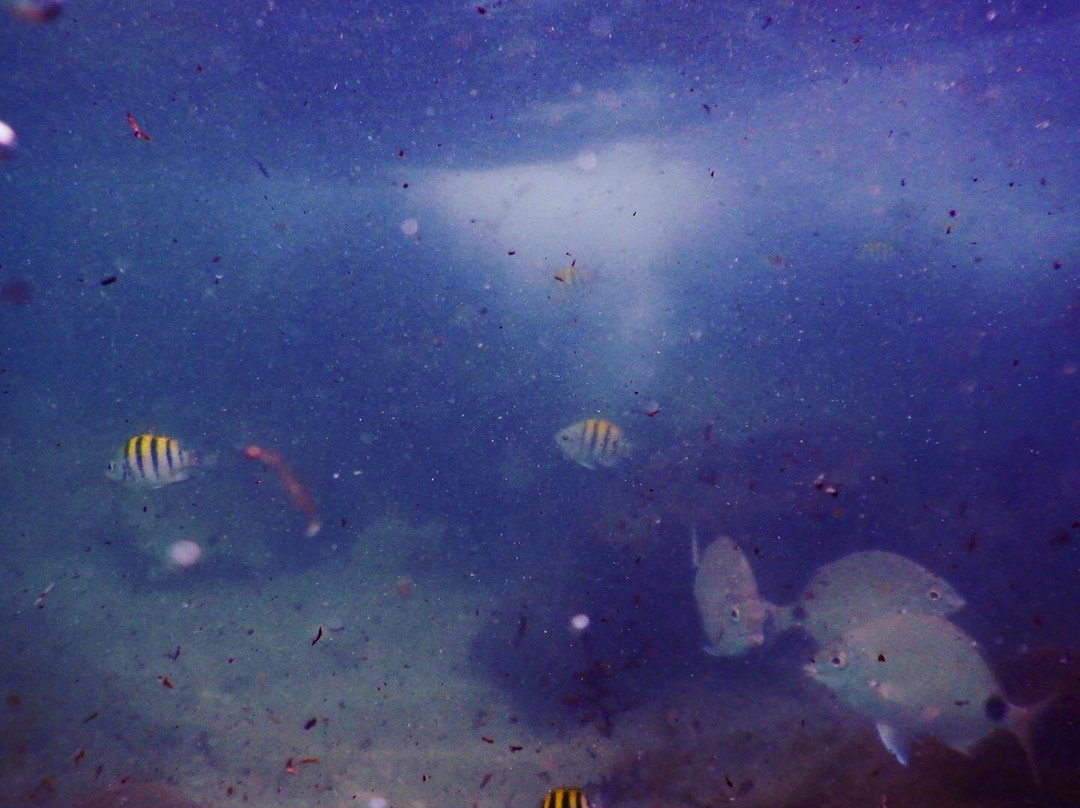 Red Reef Park-博卡拉顿必去景点