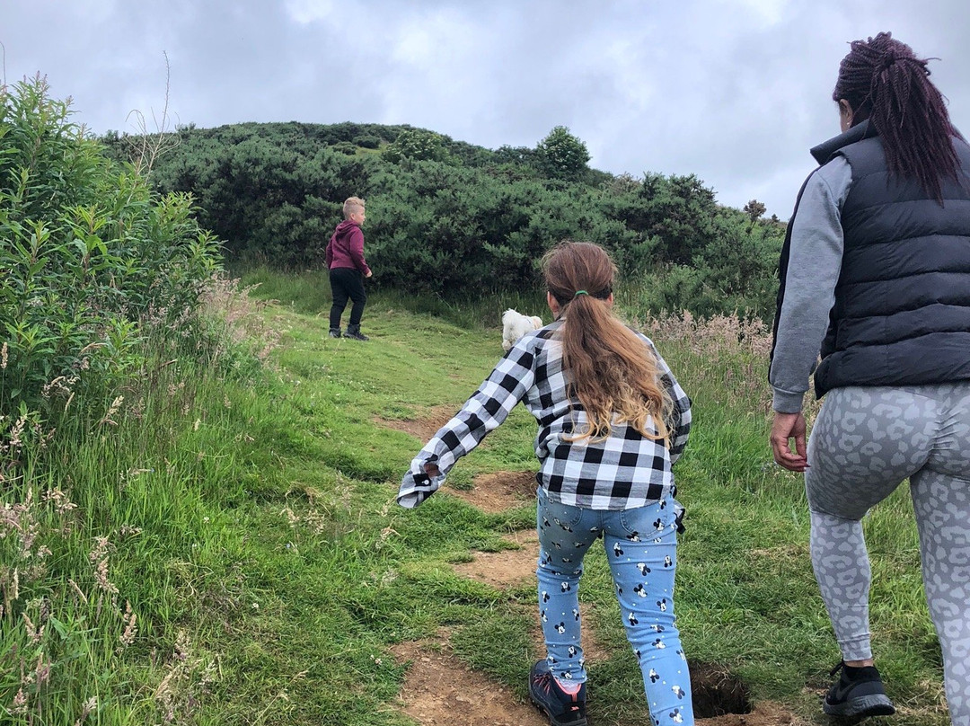 Dunnideer Hillfort-Insch必去景点