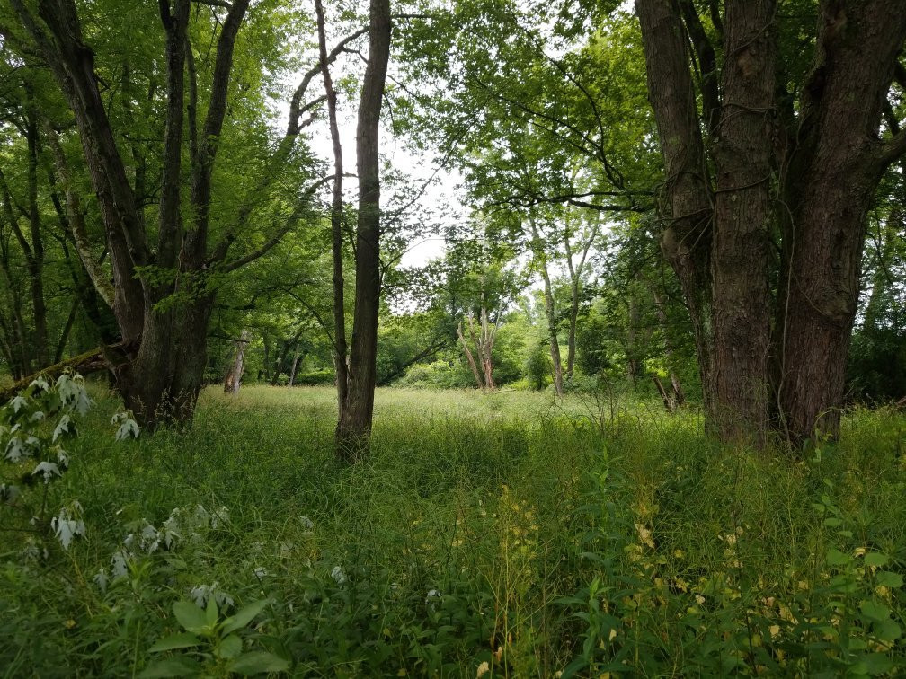 Housatonic Flats景点图片