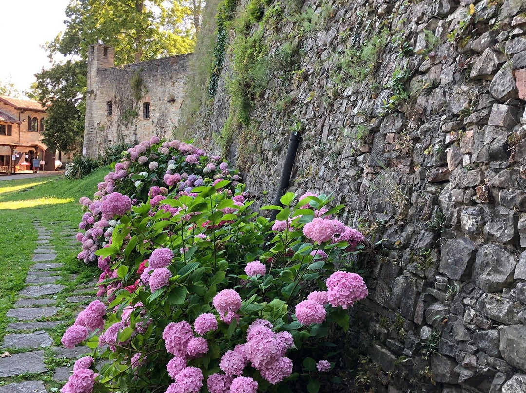 Castello Dal Verme景点图片