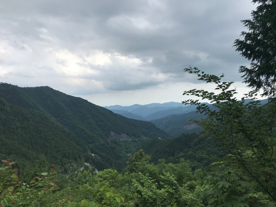 Forest of Tokyo Citizen-桧原村必去景点