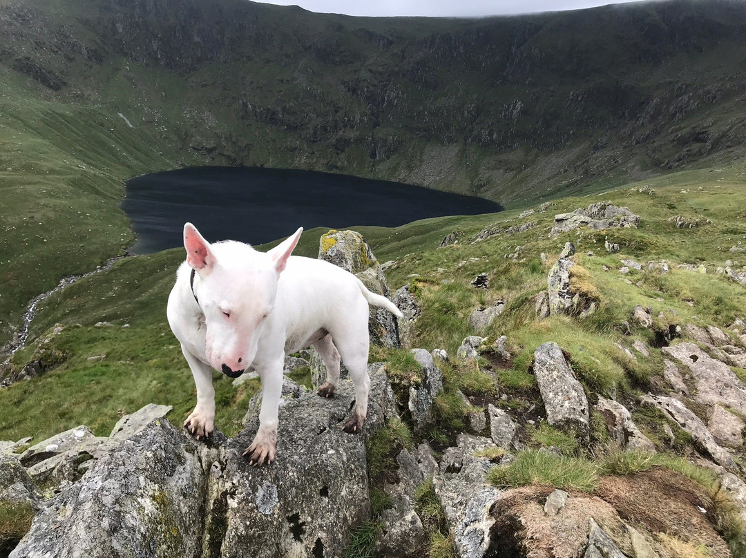 Haweswater Reservoir景点图片