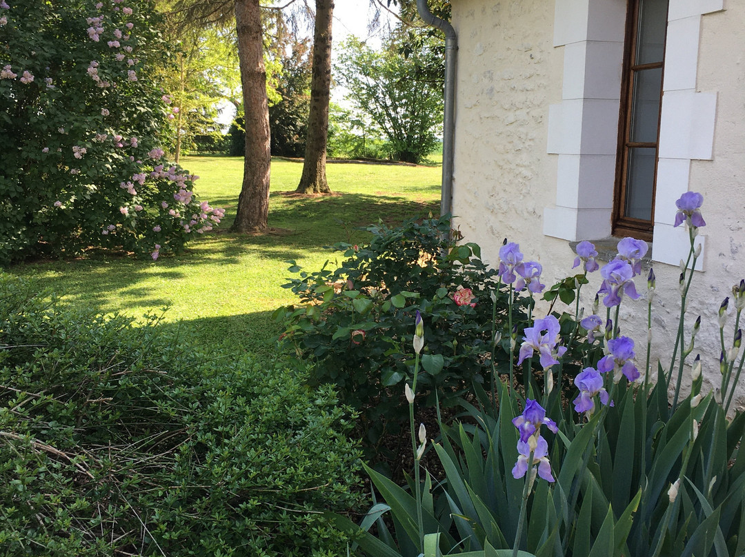 La Bihourderie主图