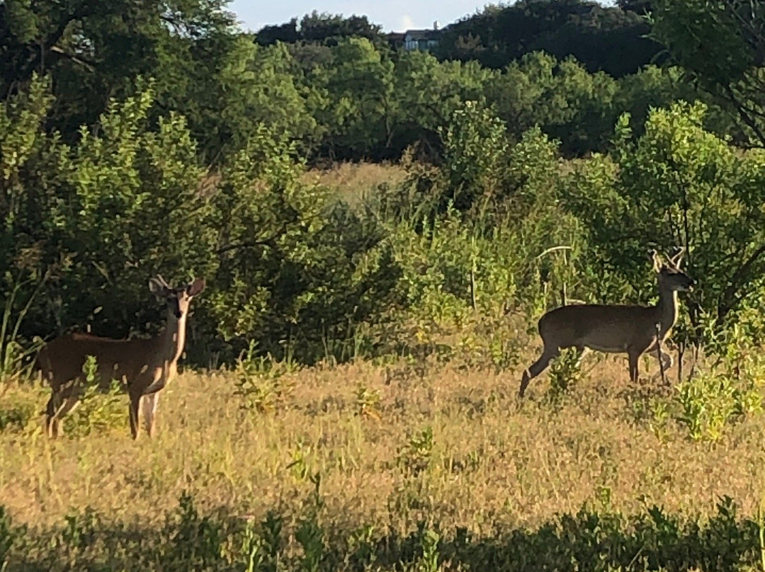Muleshoe Bend Recreation Area-Spicewood必去景点