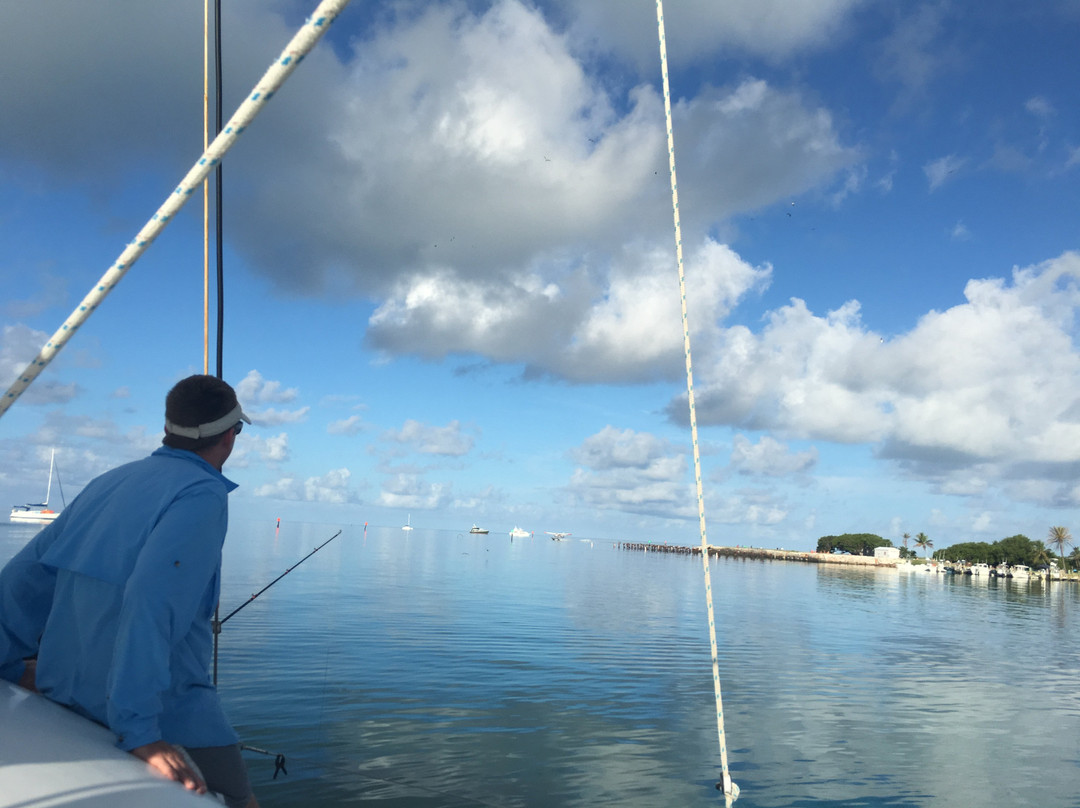 Stray Cat Sailing Adventures-基韦斯特必去景点