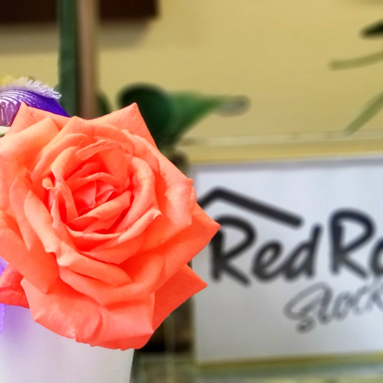 Red Roof Inn Atlanta Southeast - Stockbridge-官方