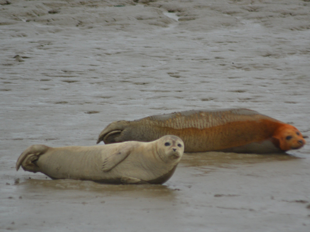 Discovery Seal Trips景点图片
