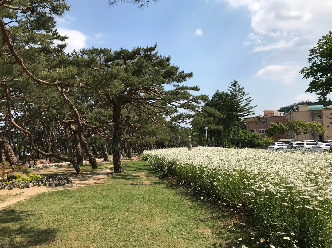 Uirimji Lake-堤川市必去景点