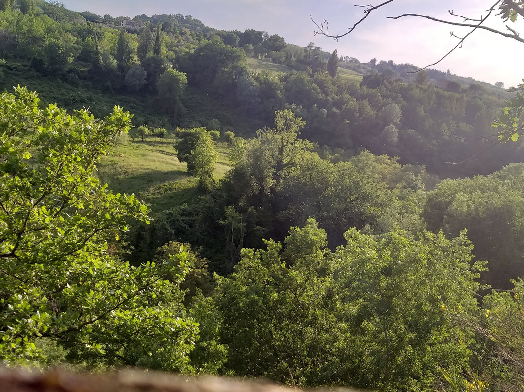 Sentiero del Granchio Nero