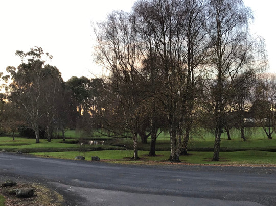 泰勒廷伯斯塔斯马尼亚岛酒店主图