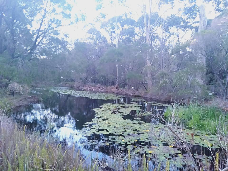 玛格利特河品质旅馆主图